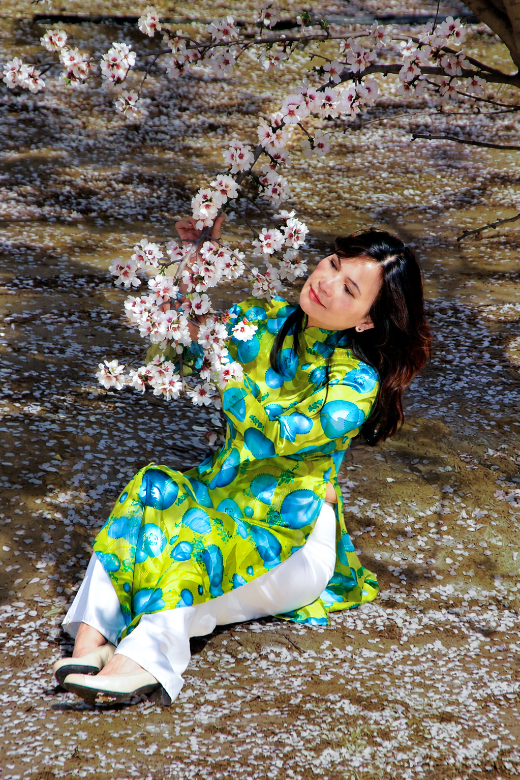 Plum Blossom-2013 (2)